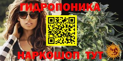 jwh Краснодар