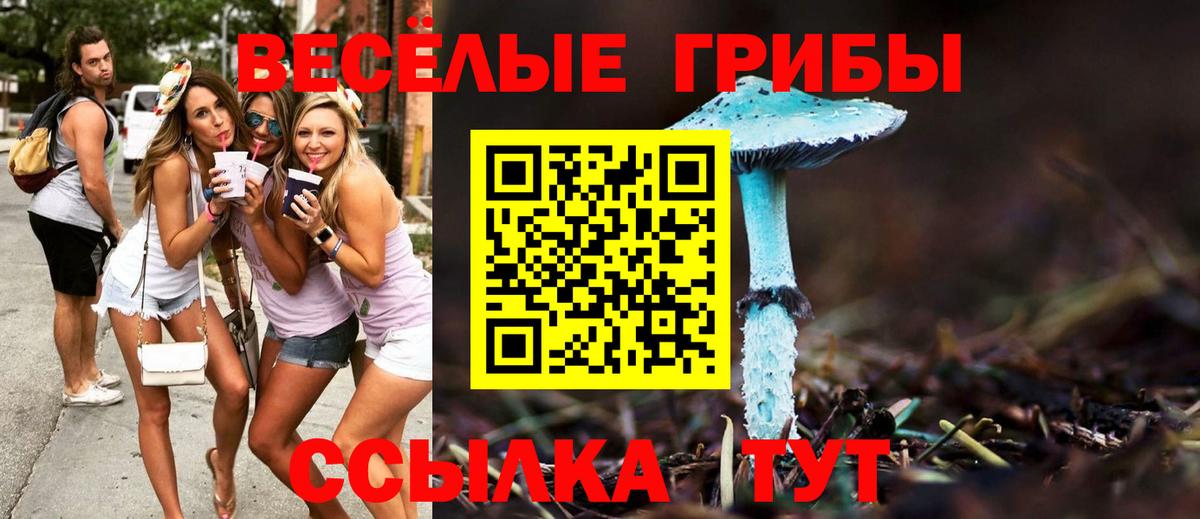 Галлюциногенные грибы GOLDEN TEACHER Кольчугино